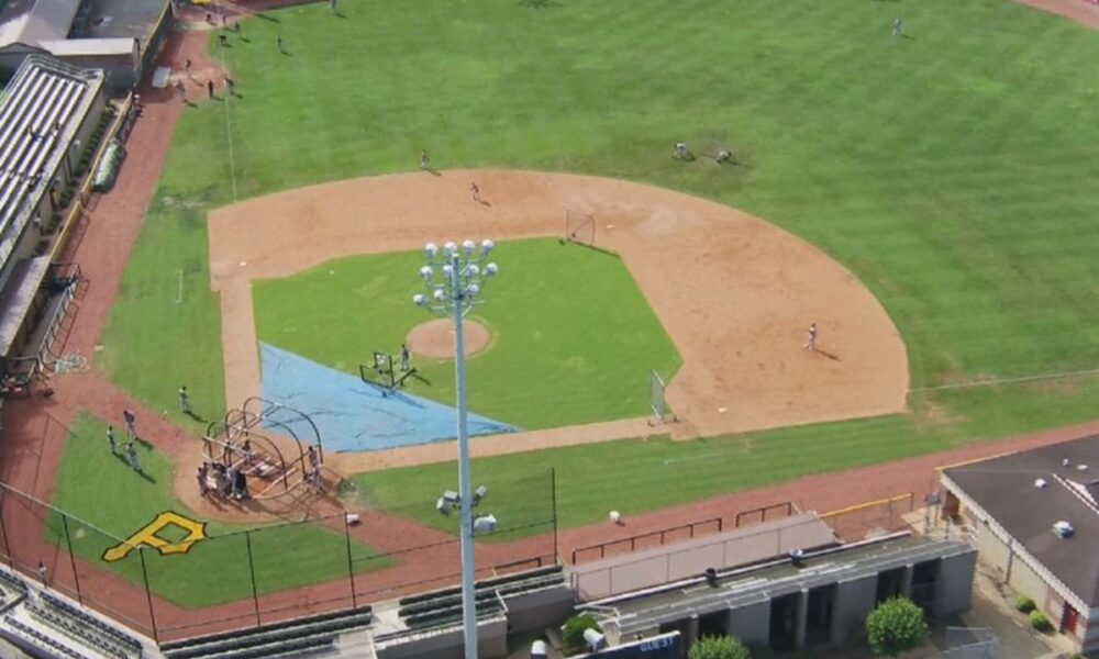 MLB Farm System Revamp Saves Most Minor League Teams