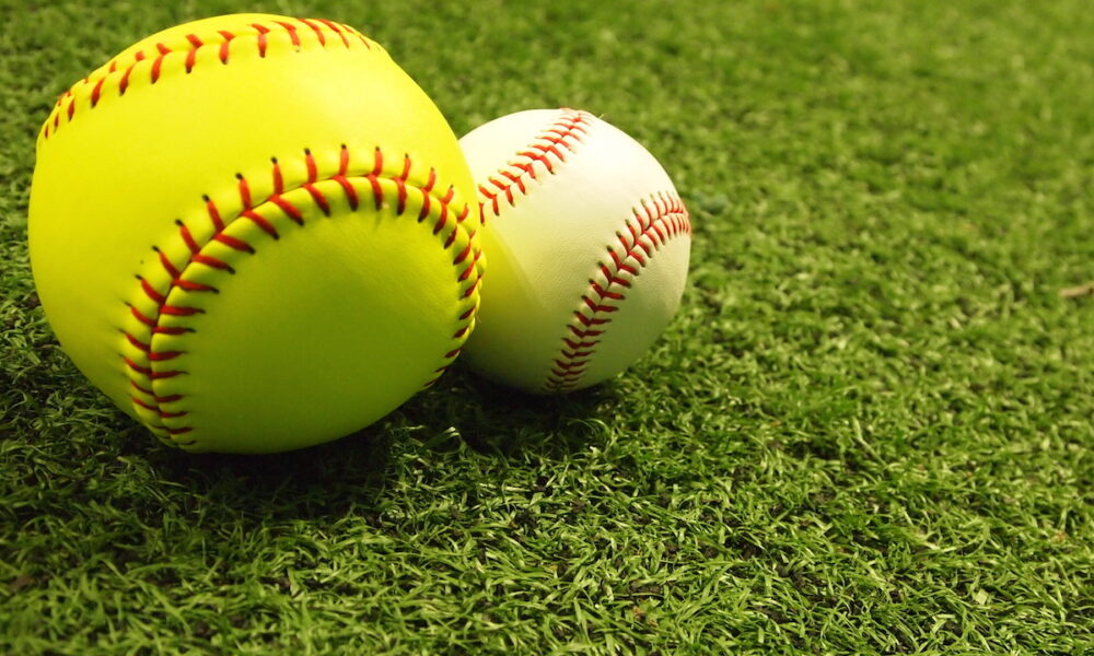 Battle of the Bats Softball versus Baseball Back Sports Page