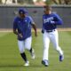 The Los Angeles Dodgers warm up during Spring Training.