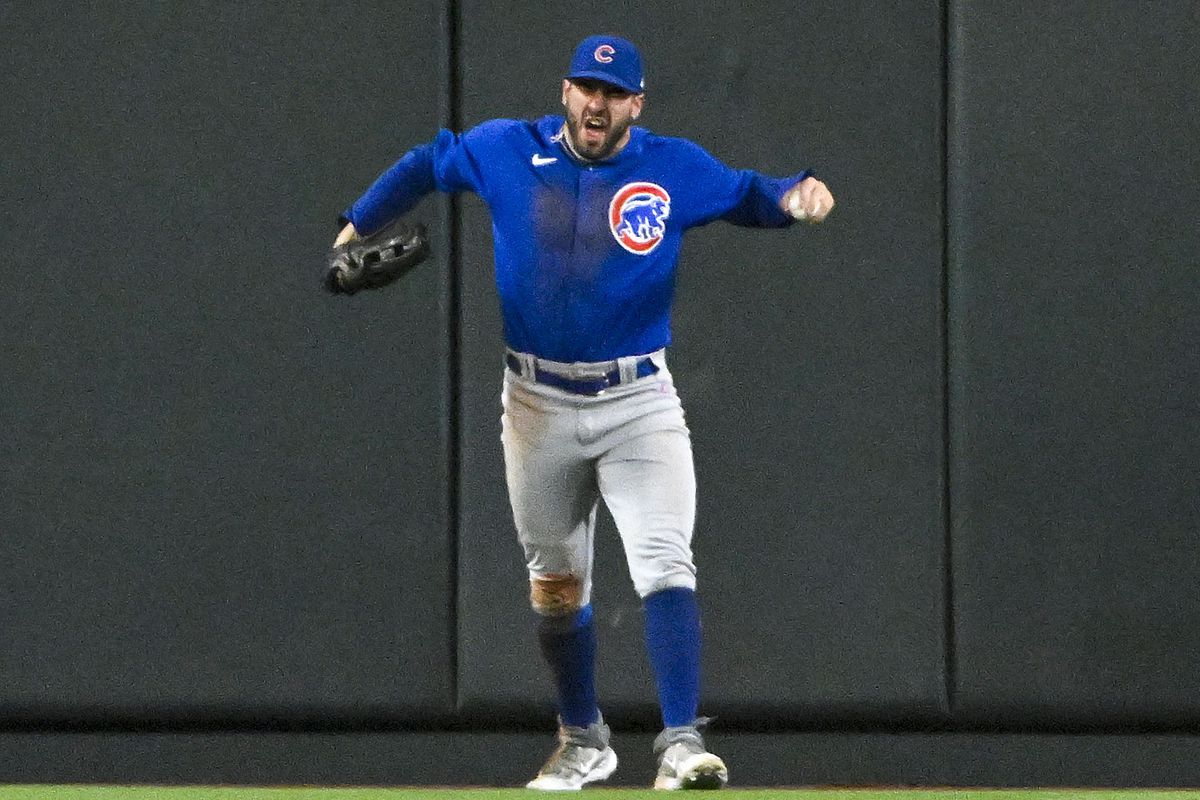 Mike Tauchman celebrates after robbing a home run for the Chicago Cubs.